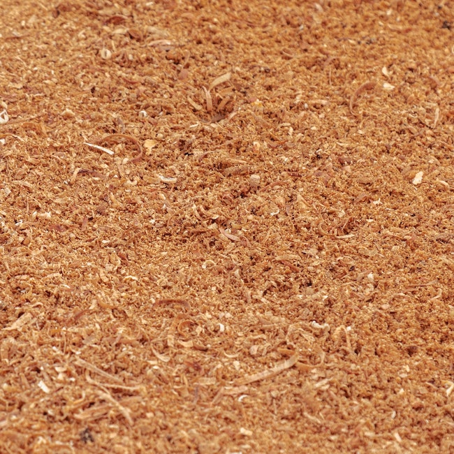 Sawdust